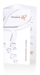 curriculum vitae - patrick fisz - flyingpixel